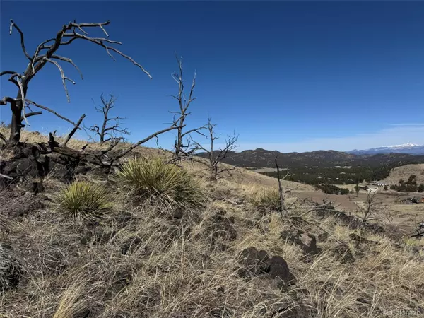 Cotopaxi, CO 81223,25 25th Trail and F Path