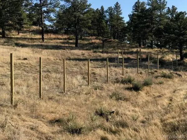 Deer Trail, CO 80105,40362 Gold Nugget Dr