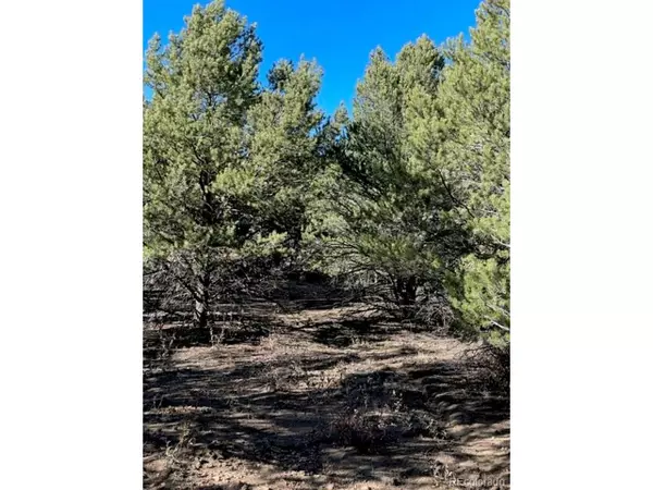 Cotopaxi, CO 81223,837 Mears Rd