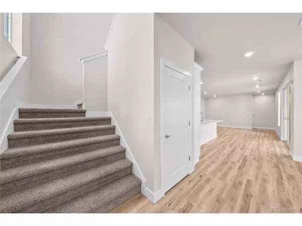 Littleton, CO 80125,8731 Whiteclover St