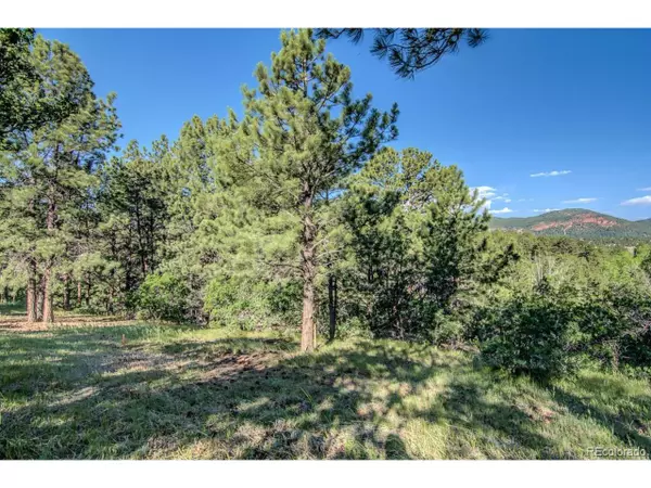 18755 Rockbrook Rd,  Palmer Lake,  CO 80133