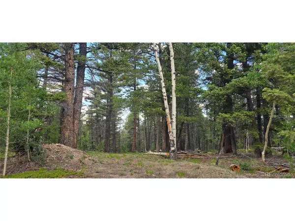 Fort Garland, CO 81133,5778 Balleroy Rd