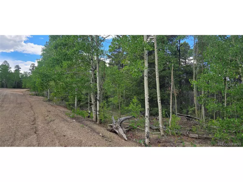 5778 Balleroy Rd, Fort Garland, CO 81133