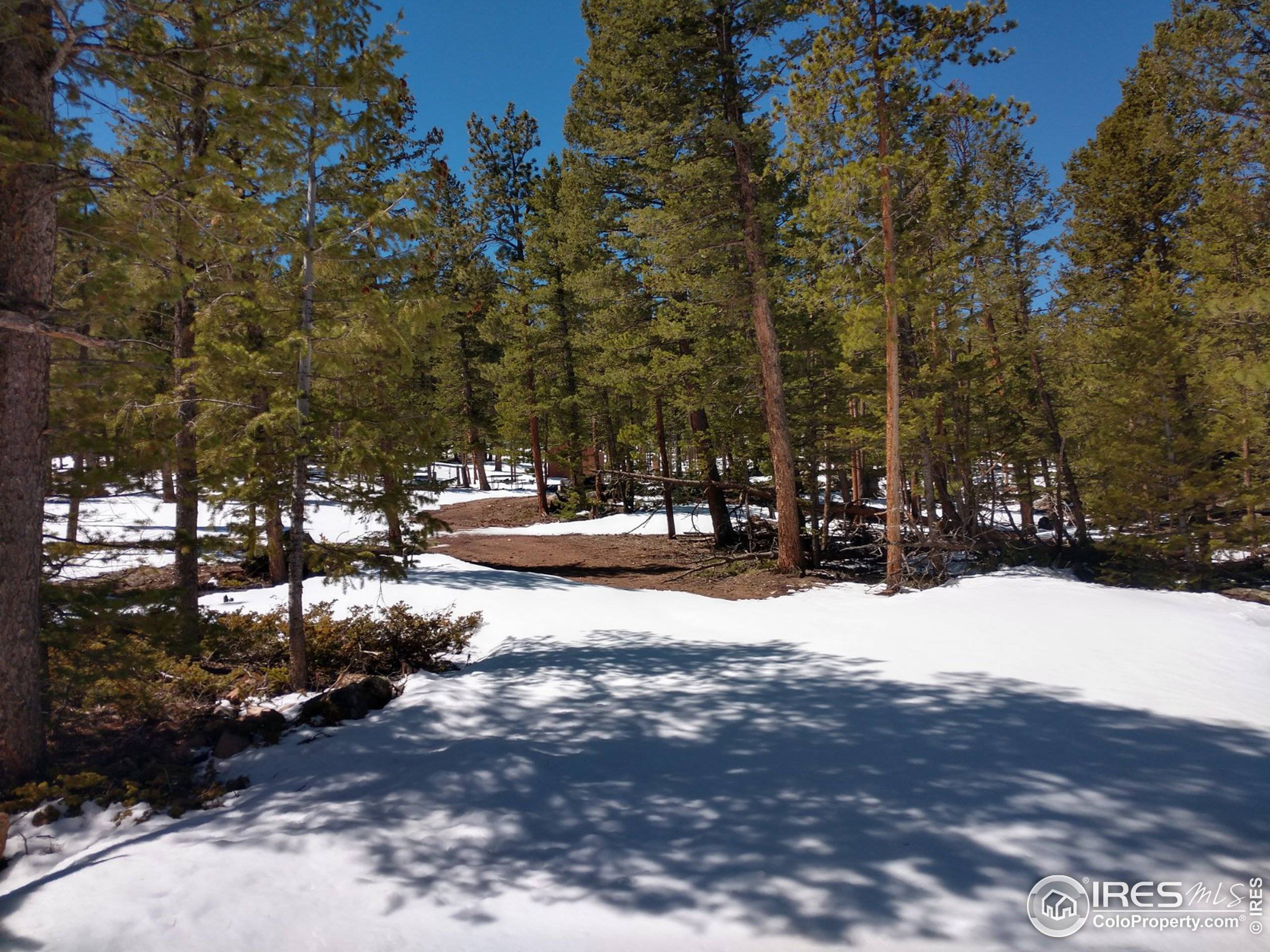 Red Feather Lakes, CO 80545,1458 Tesuque Trl