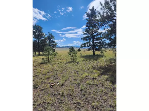 617 Boulder Rd, Hartsel, CO 80449