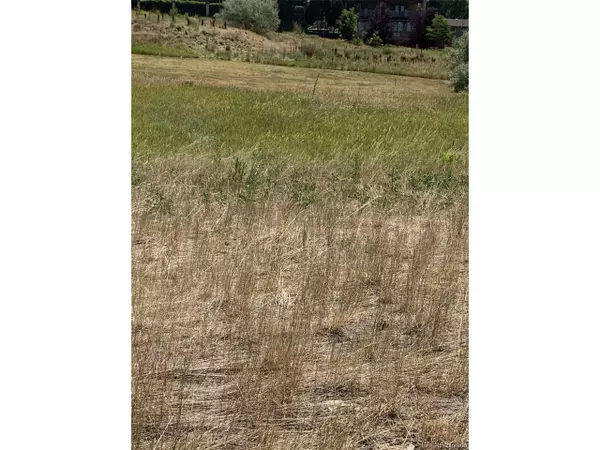 Littleton, CO 80128,8320 S Cody Way