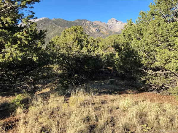 Crestone, CO 81131,4480 Ridgecrest Way