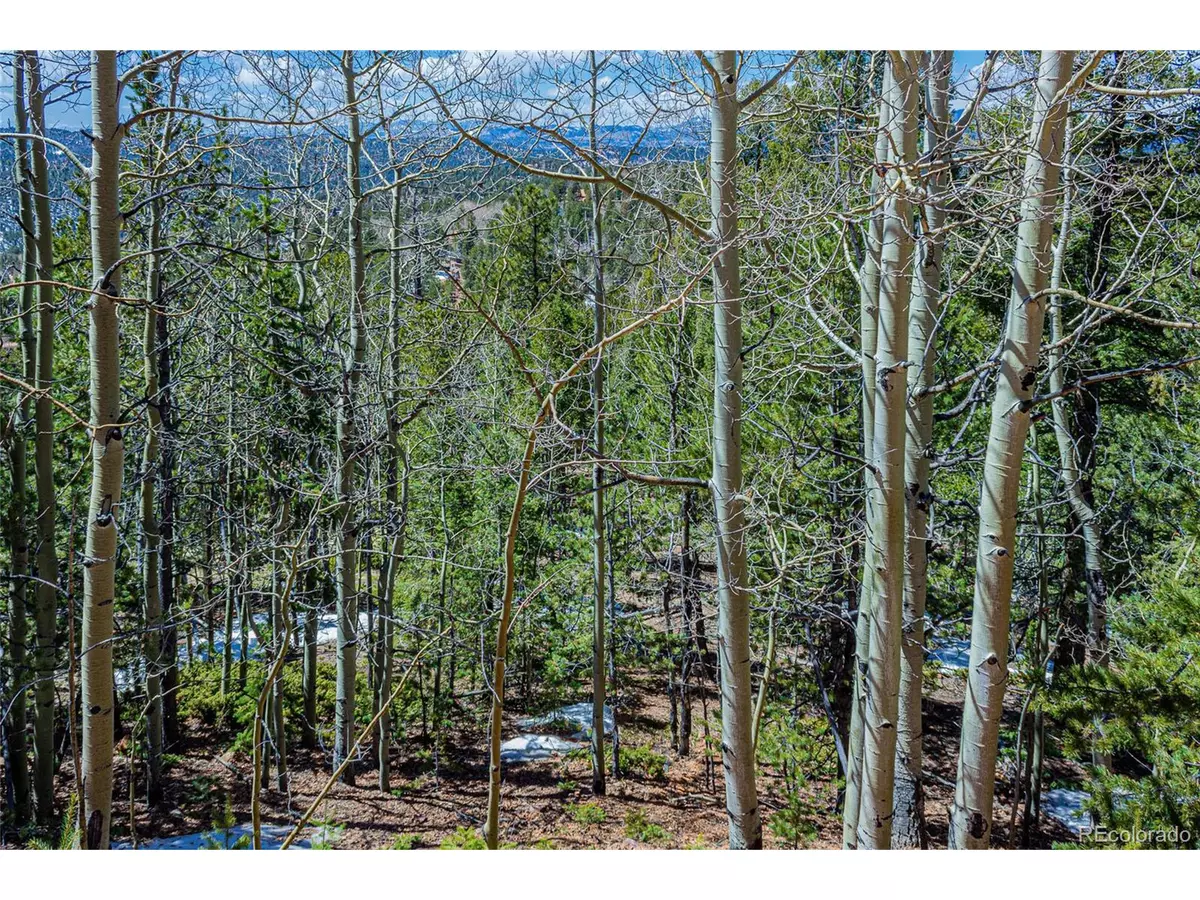 Divide, CO 80814,336 Witherite Dr