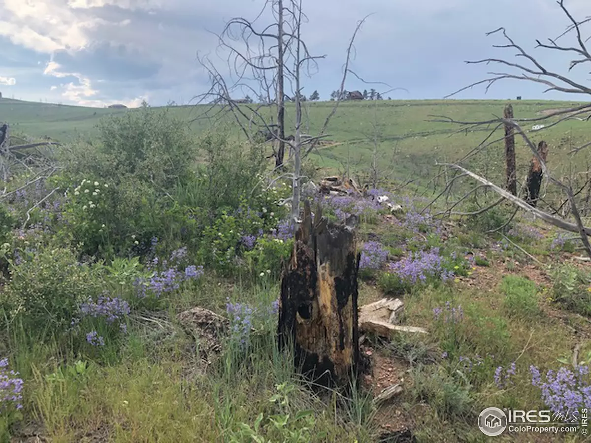 Livermore, CO 80536,Meadow Mountain Dr
