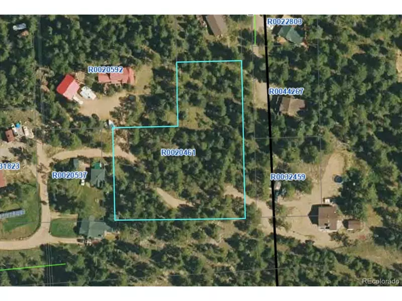 20461 Wandcrest Dr, Pine, CO 80470