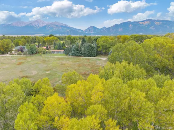 Buena Vista, CO 81211,Mcdonald Ave