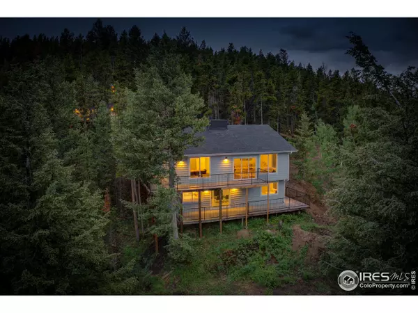 173 Alpine Dr, Nederland, CO 80466