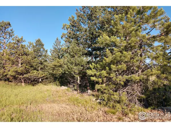 466 Cucharas Mountain Dr, Livermore, CO 80536