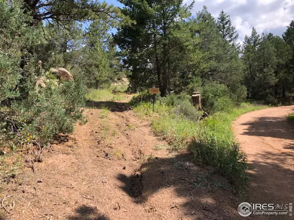Livermore, CO 80536,1200 Bull Creek Pass Rd
