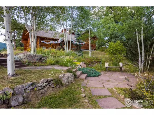 Nederland, CO 80466,61 Meadowland Ct