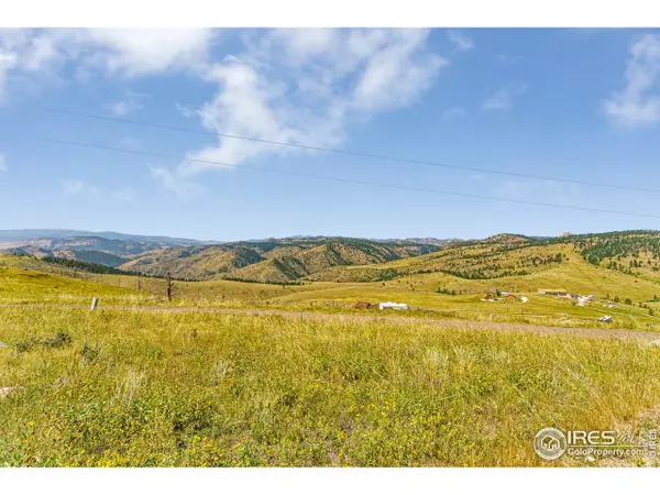 132 Sheep Mountain Ct, Livermore, CO 80536