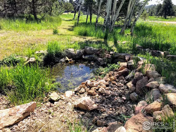 Livermore, CO 80536,3316 Green Mountain Dr