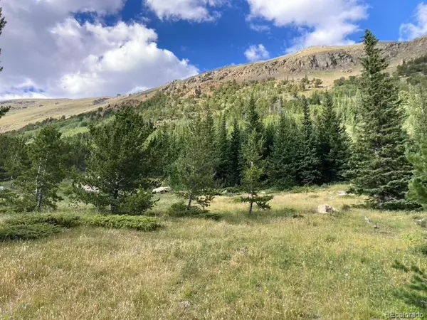 Nederland, CO 80466,4400 4th Of July Road