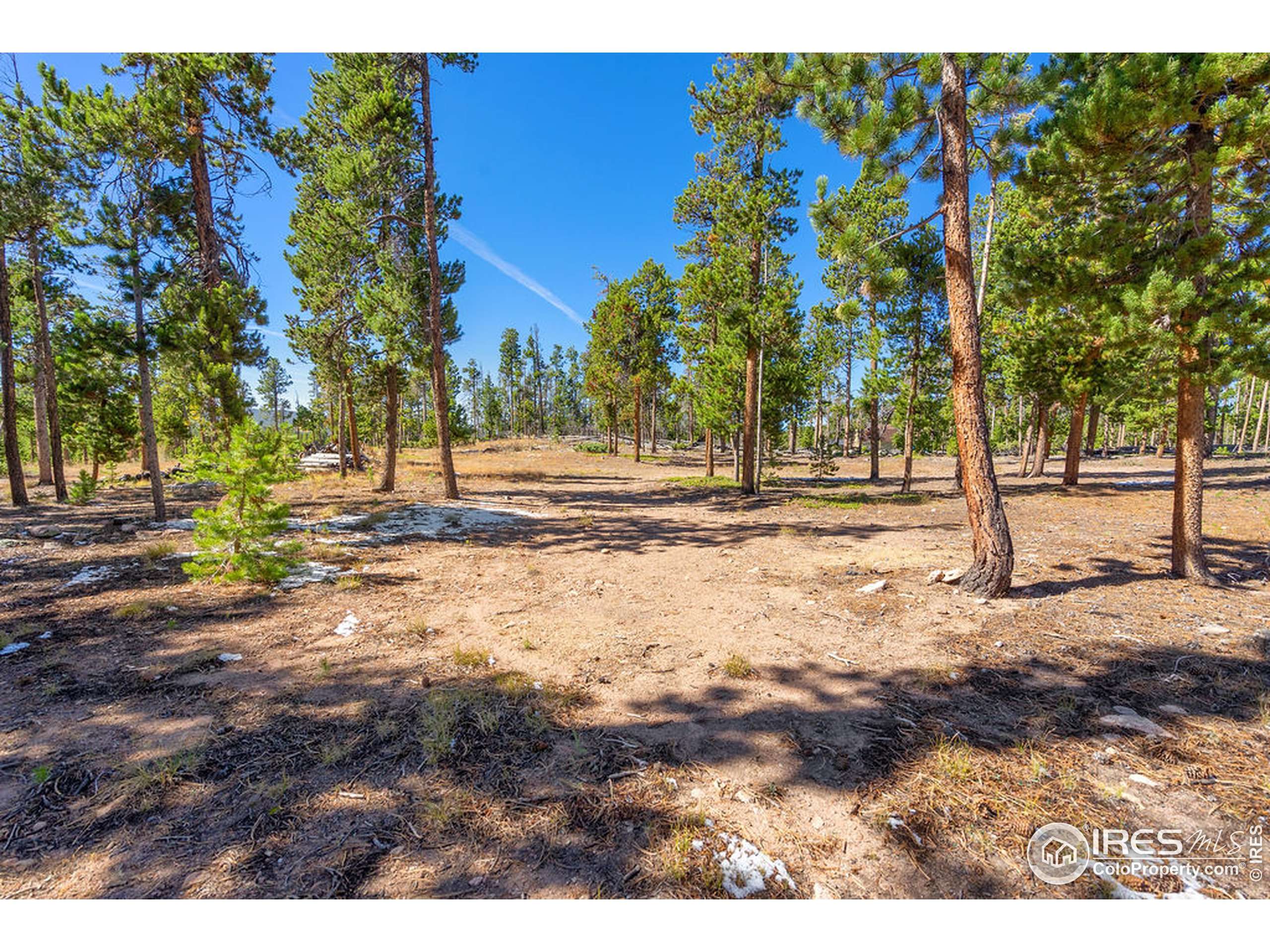 297 Manso Way, Red Feather Lakes, CO 80545