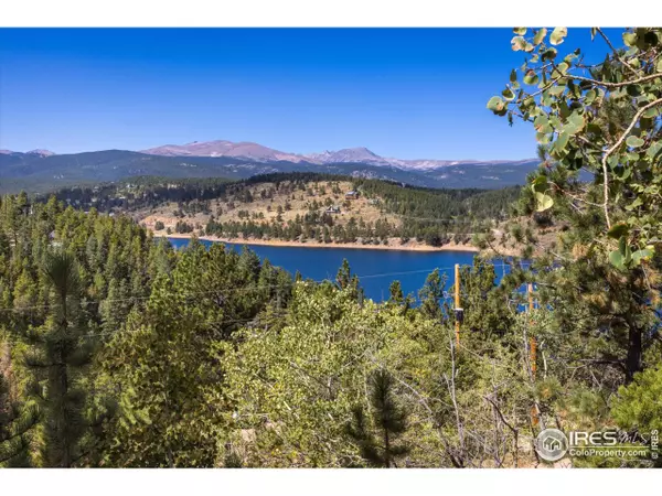 Nederland, CO 80466,230 Alpine Dr