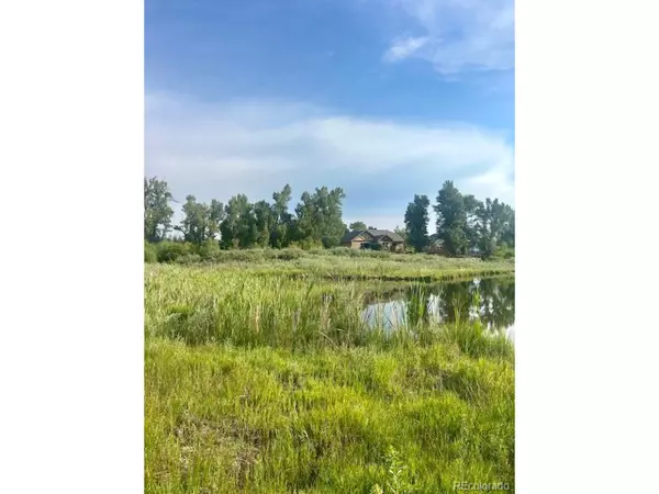 Poncha Springs, CO 81242,1105 Little River Ln