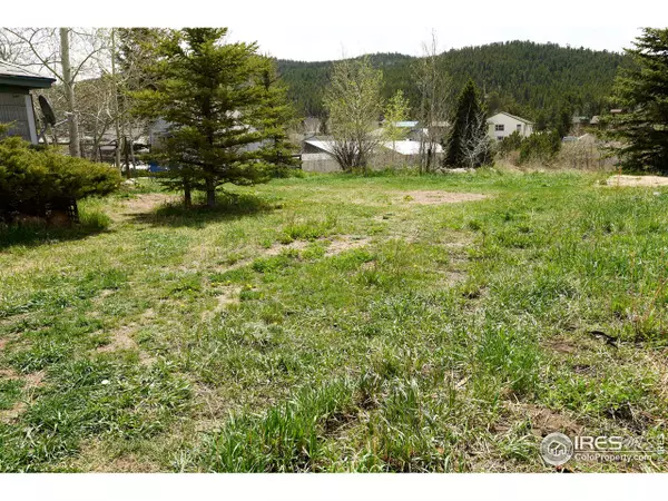 Nederland, CO 80466,196 W 1st St