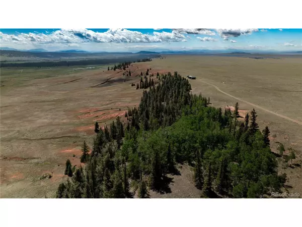 4319 Meier Ridge Trl,  Fairplay,  CO 80440