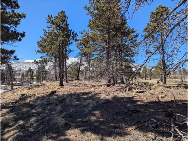 Fort Garland, CO 81133,659 Richard Dr