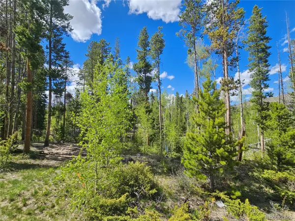 Grand Lake, CO 80447,134 Mad Moose Ln