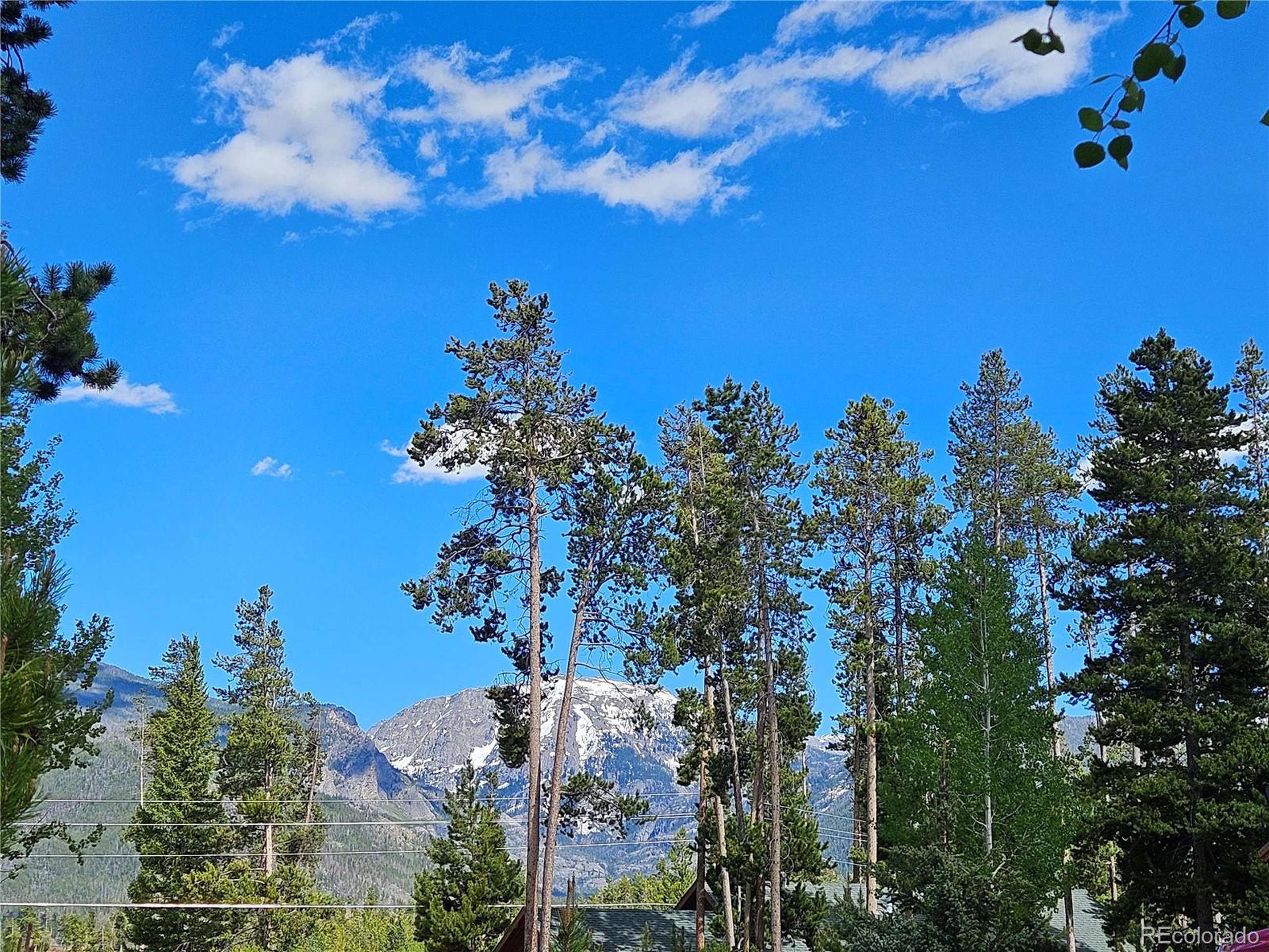 Grand Lake, CO 80447,134 Mad Moose Ln