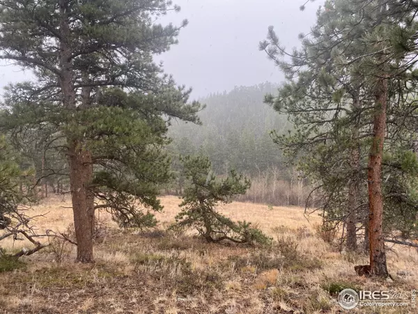 Allenspark, CO 80510,313 County Road 107E