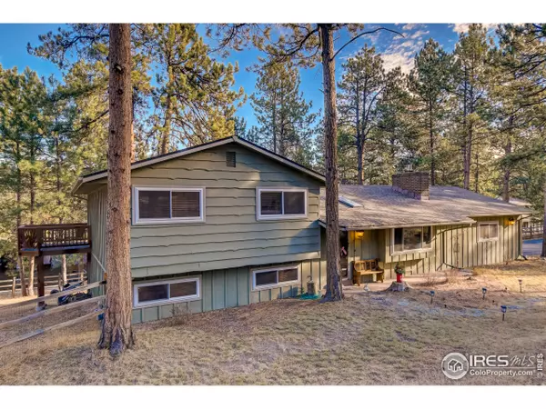 Evergreen, CO 80439,28359 Pine Dr