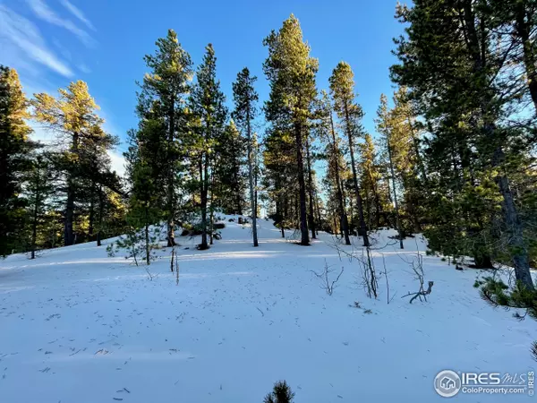 0 Sandau  Lot 22 Ln, Black Hawk, CO 80422