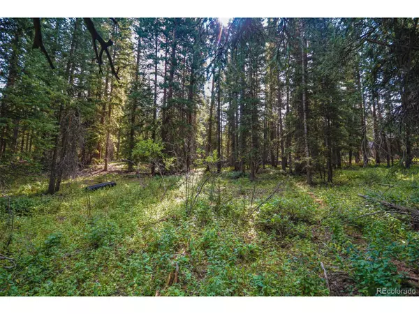 364 Rena Rd,  Breckenridge,  CO 80424