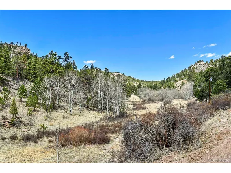 1077 Canyon Dr, Florissant, CO 80816