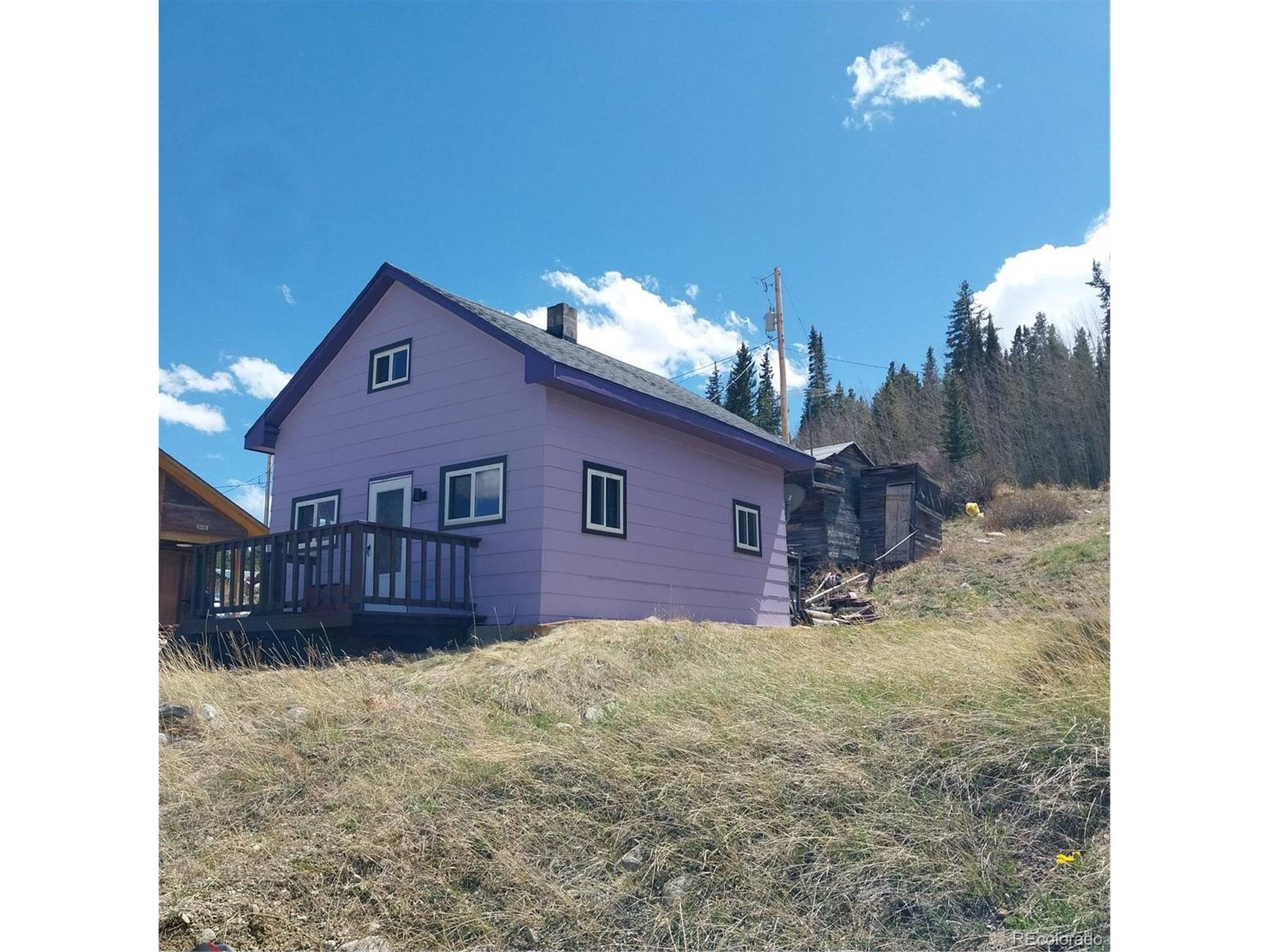 33 S Oak St, Alma, CO 80420