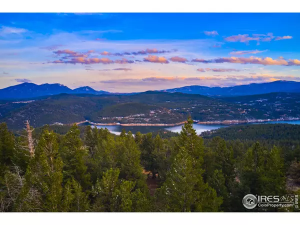 1451 Ridge Rd, Nederland, CO 80466