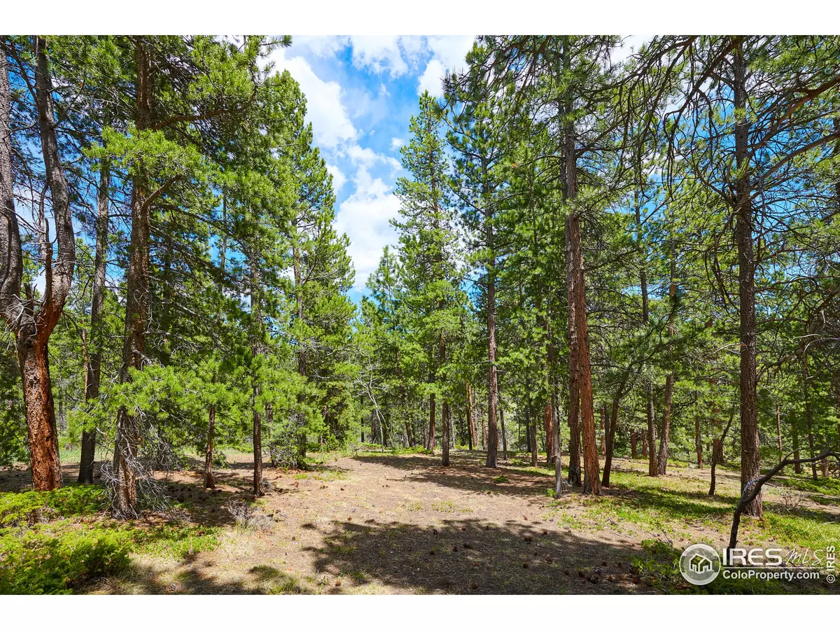 Nederland, CO 80466,980 Peak to Peak Hwy