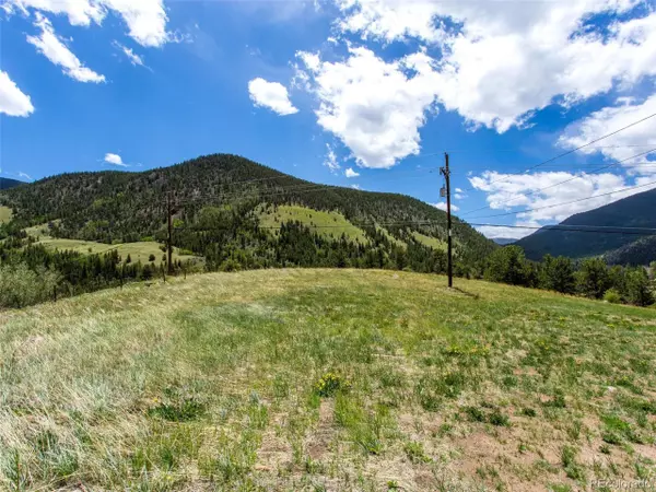 Empire, CO 80438,0 S Ball St