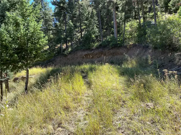 Manitou Springs, CO 80892,284 Neon Moon Vw