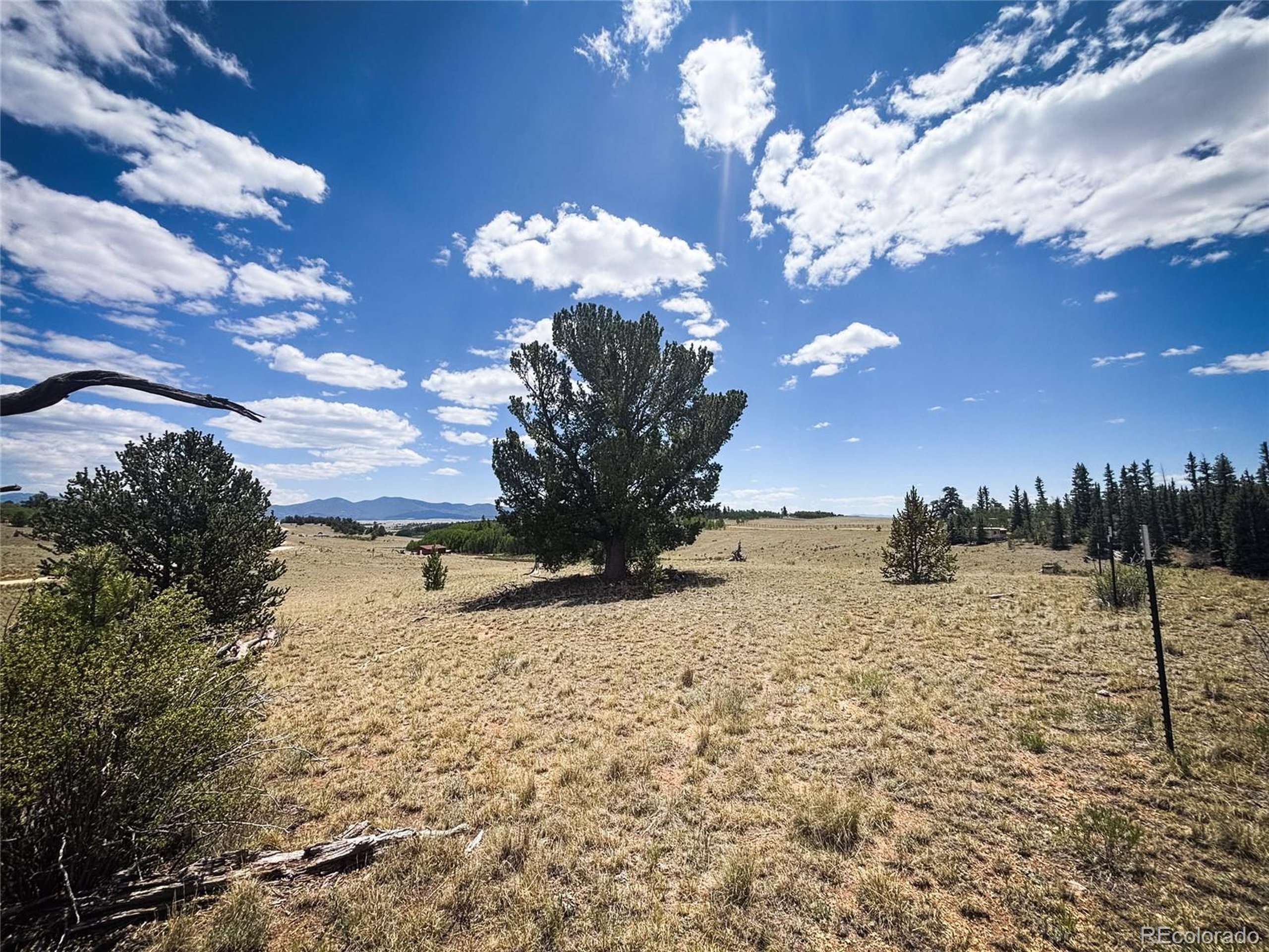 Jefferson, CO 80432,458 Remington Rd