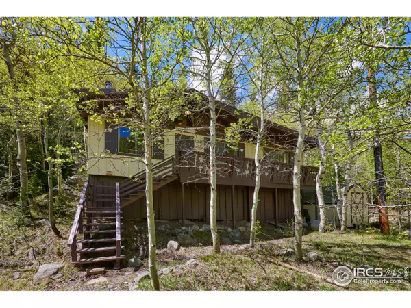 702 Bryan Ave, Nederland, CO 80466