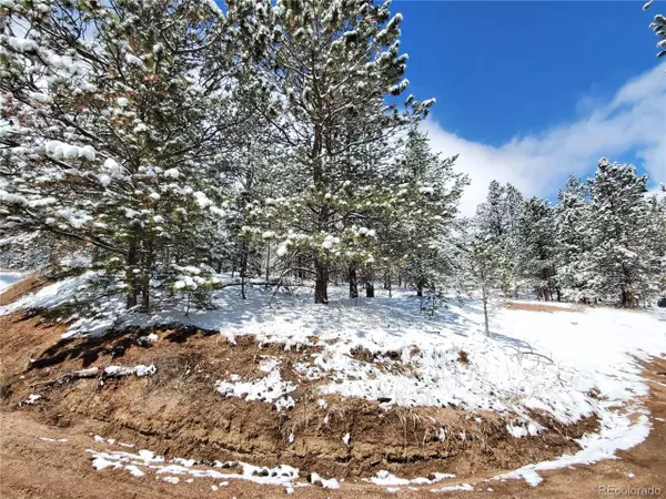 147 W Arrowhead Rd, Florissant, CO 80816