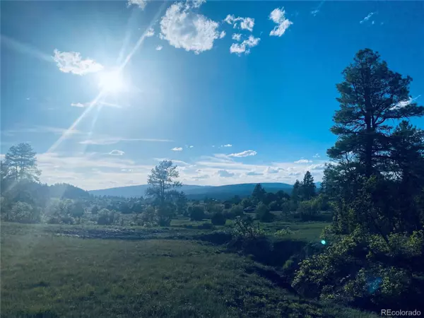 251 Rifle Pl,  Pagosa Springs,  CO 81147