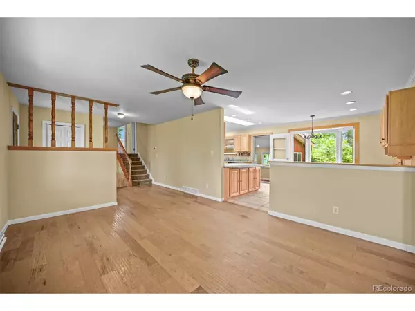 Watkins, CO 80137,1335 S Kio St