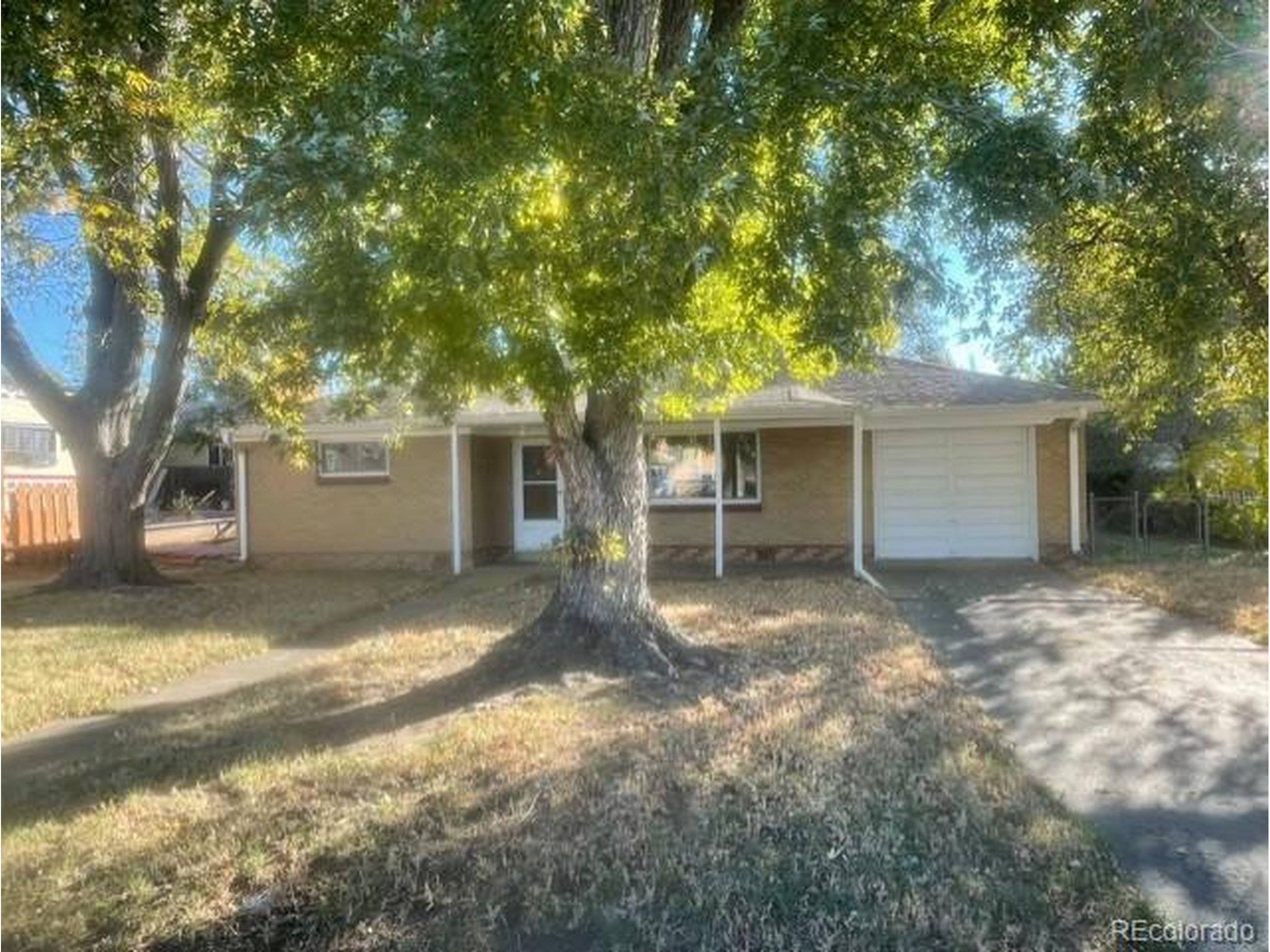 Wheat Ridge, CO 80033,4620 Otis St