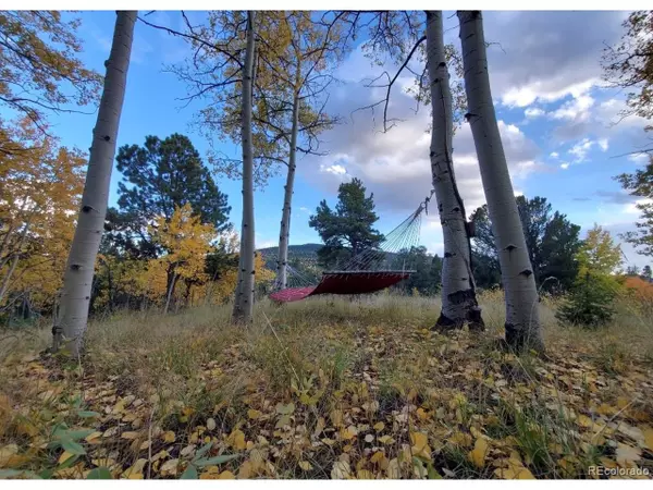 Cripple Creek, CO 80813,2642 Yorktown Rd