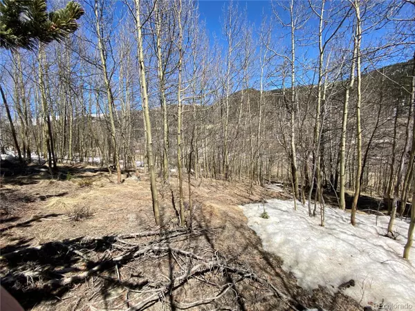 Alma, CO 80420,1729 Co Road 6