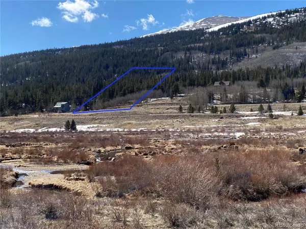 Alma, CO 80420,1729 Co Road 6