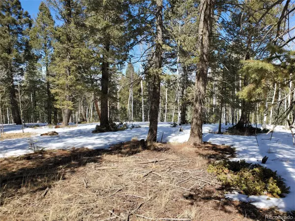 2023 County Road 512, Divide, CO 80814